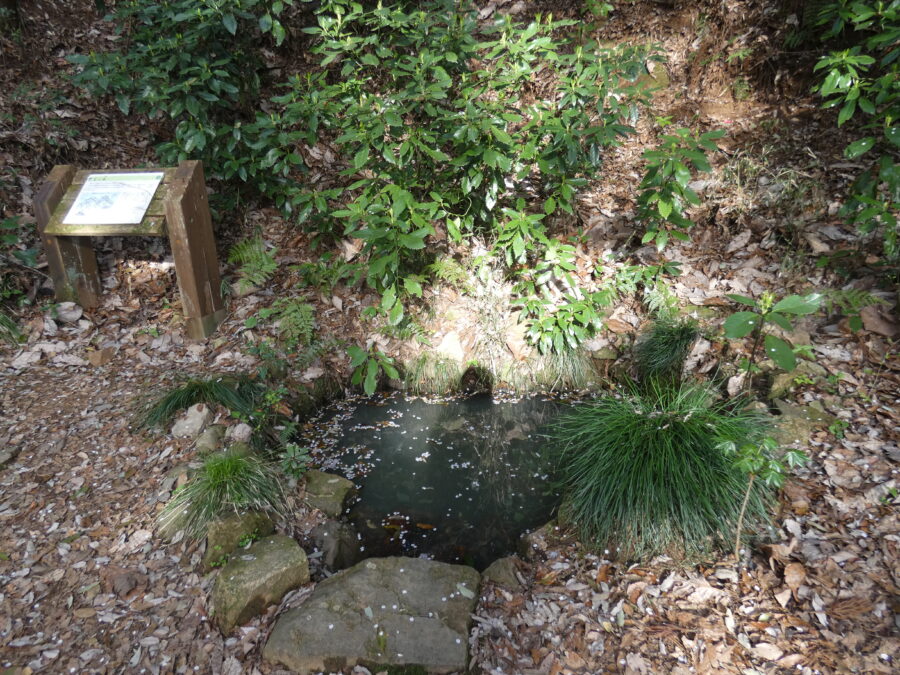 水源【津久井城】