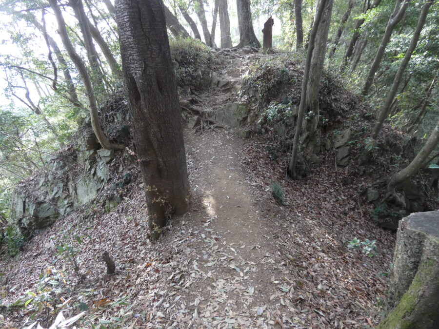 堀切【津久井城】