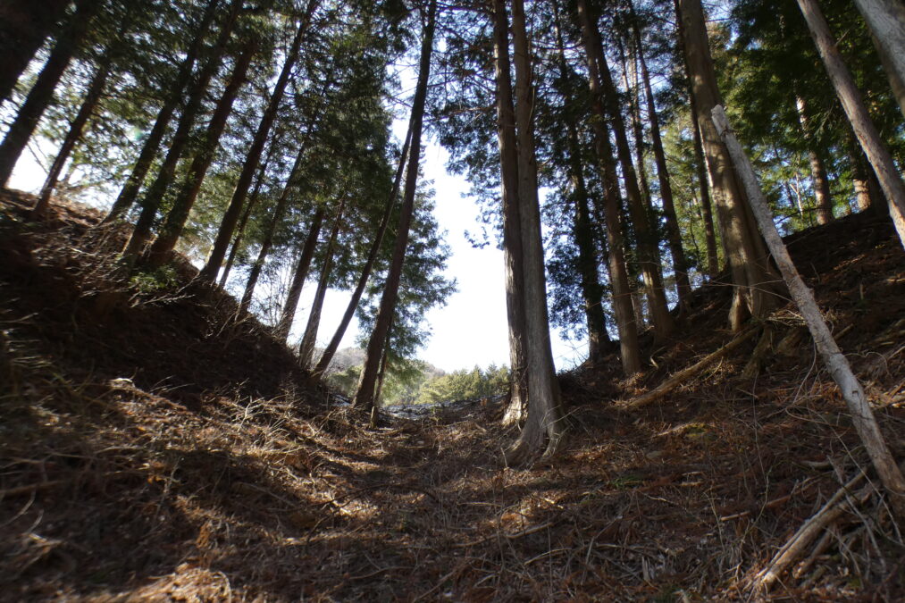 空堀【奈良井城】