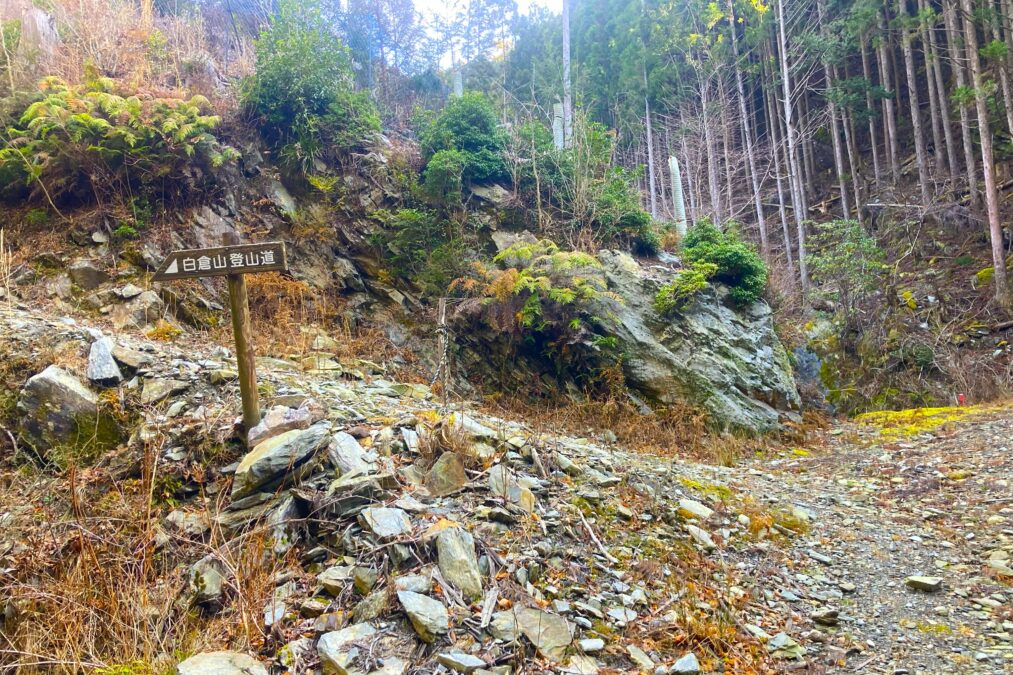 白倉山登山口