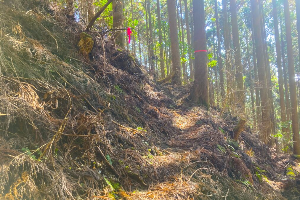 ビニールテープを頼りに